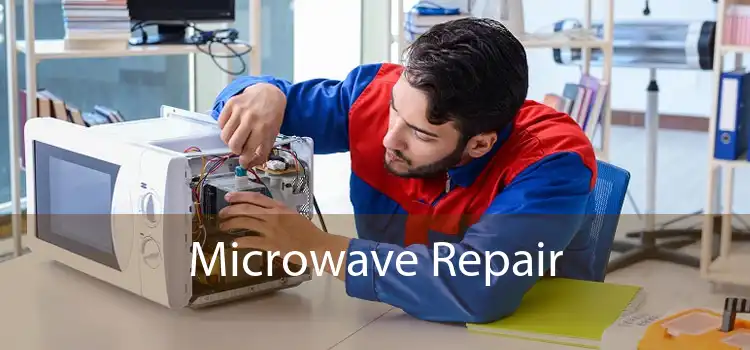 Microwave Repair