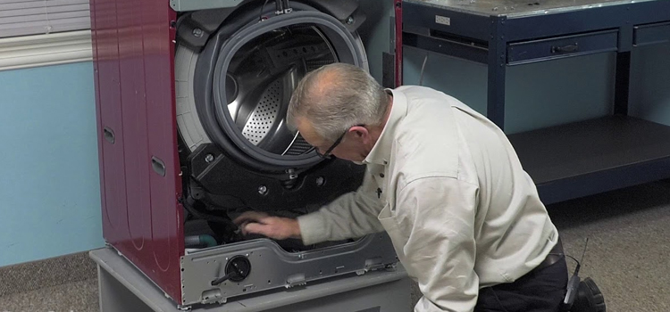 Signature Washing Machine Repair in Milton
